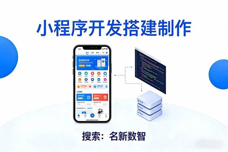 软件定制开发